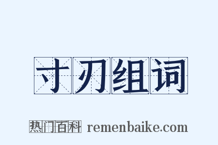 寸刃组词是什么意思的图片